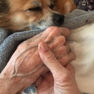 Meet your Posher, Kimberly